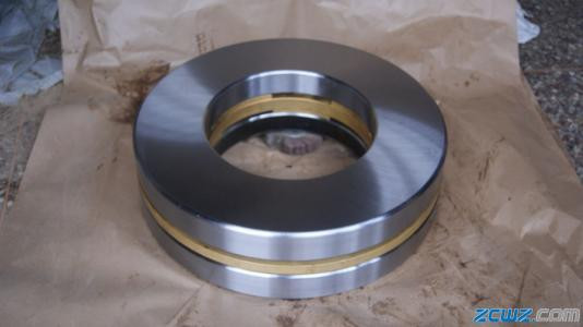 Bearing 6319-0078-00