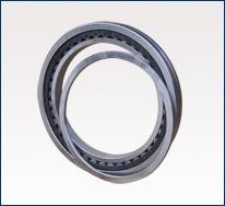 7602-0211-09 Mud Pump Bearing