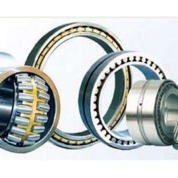 Bearing NFP 6/596.9Q4/C9