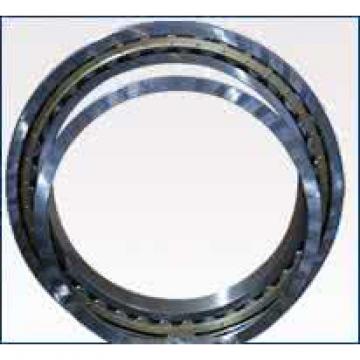 NUP 6/393.7 M/C9W33YA Mud Pump bearing