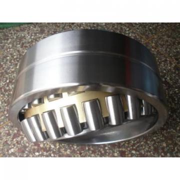 Bearing NFP 38/600X2 Q4