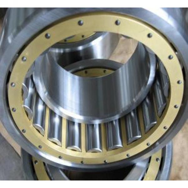 NUP 6/673.1 Q4/YA Mud Pump bearing #1 image